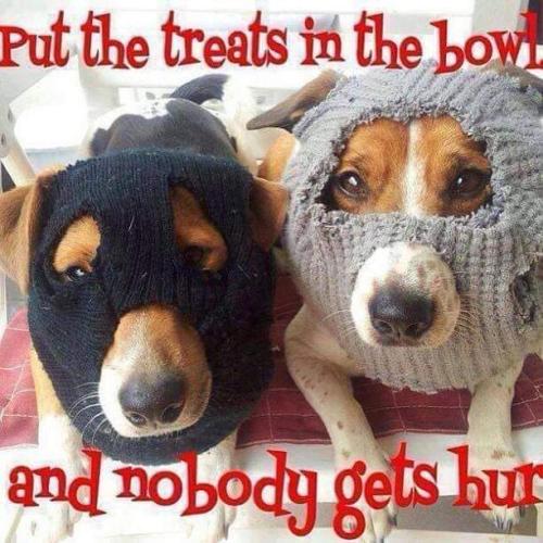 FB_IMG_1697063892649