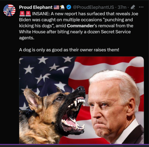 Biden 3