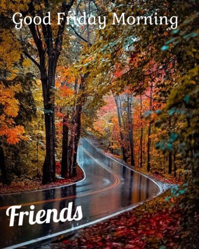 fall morning friday 1