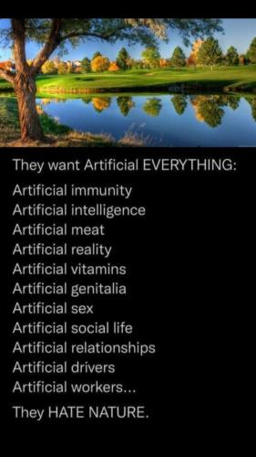 Screenshot_20231024_010132_Gallery