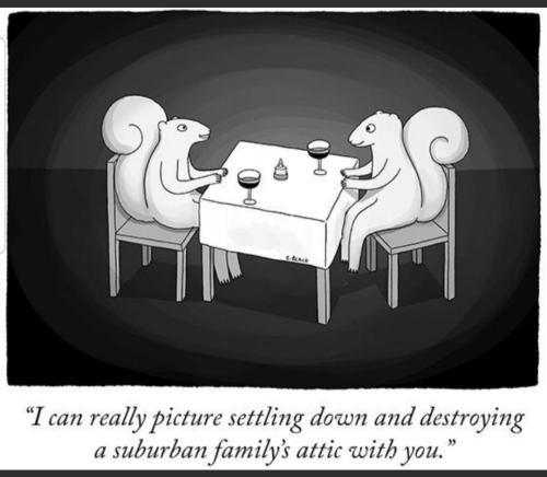 Screenshot_20231003-164641_MeWe