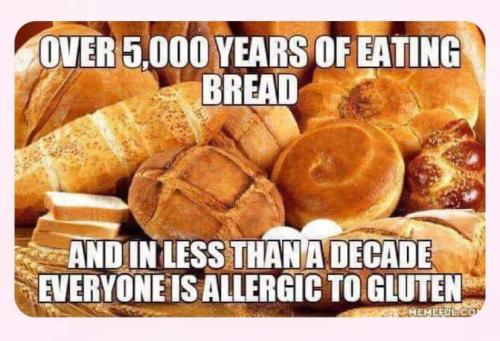 eating bread