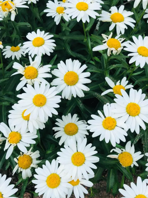 Screenshot_20231011-094158