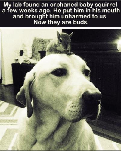 Screenshot_20231002-162618_MeWe