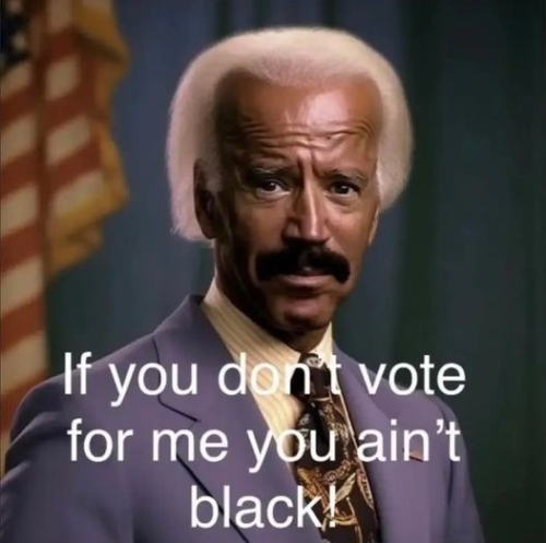 Black Biden