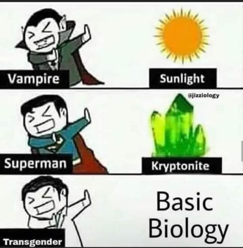 FB_IMG_1697124397474