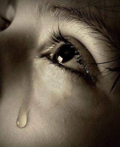 3d681159-9541-4b47-a569-6ea8b2f55c8d