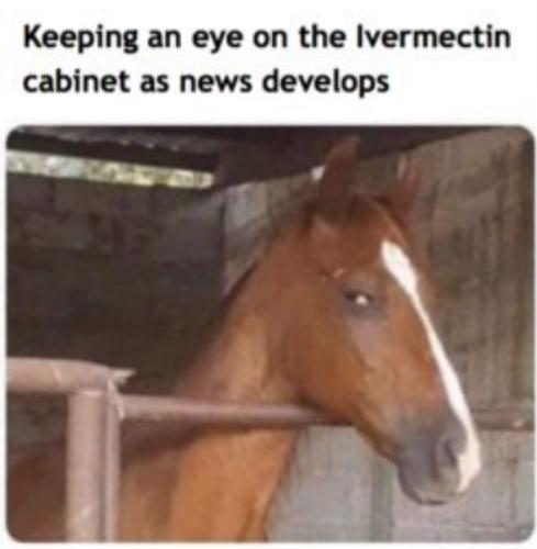 Screenshot_20231001_202316_Chrome