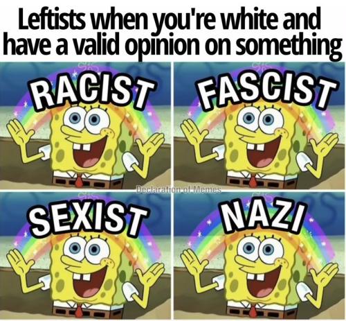 leftist