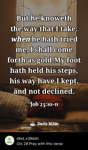 2023-10-281698527969933