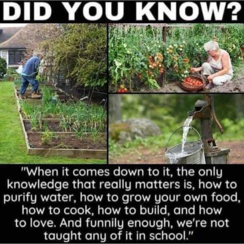 Screenshot_20231021_133309_Facebook