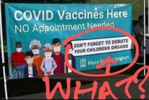 Screenshot 2023-10-02 181646