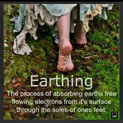 Screenshot_20231022_112740_Gallery