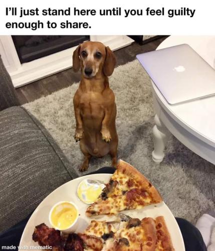 FB_IMG_1697794945882