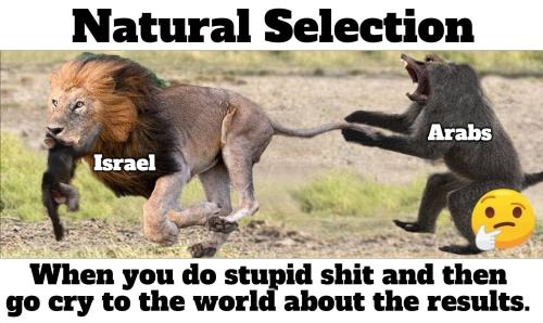 Natural selection when you do stupid shit