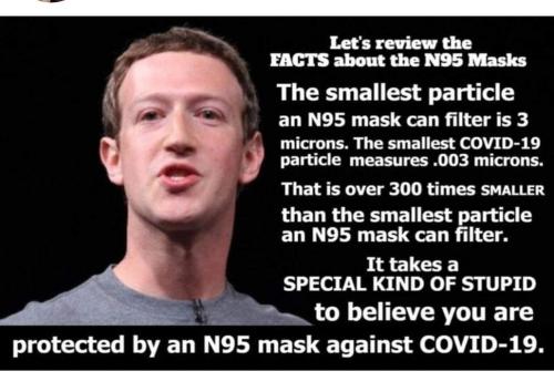 FB_IMG_1697203960886