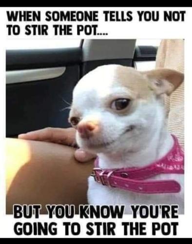 FB_IMG_1697034379453