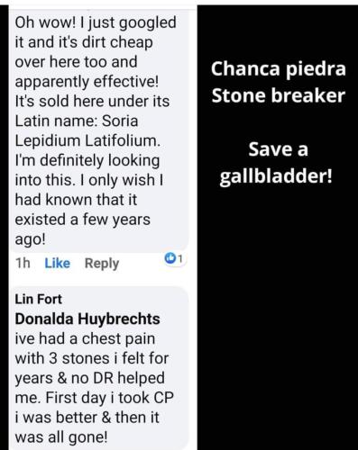 13:20:39 GMT-0400 (EDT)