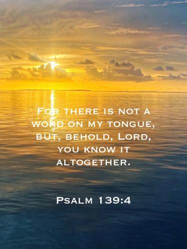 Bible-save-09f16df9-229213611