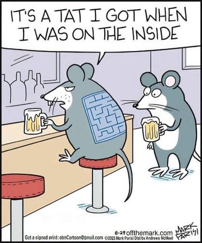 FB_IMG_1696313771389