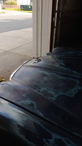 IMG_20231022_160243_148