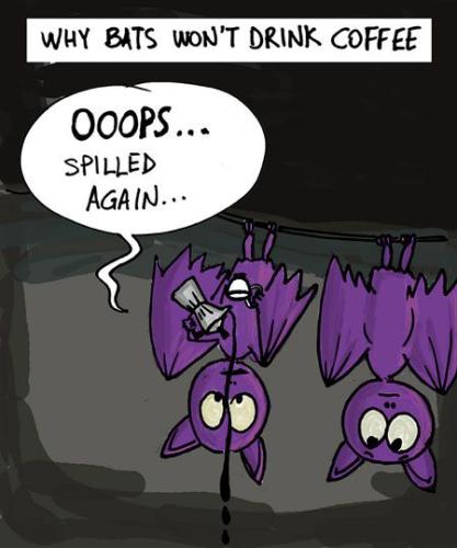 394592394_861432145457984_8339955141848219818_n