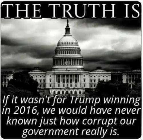 FB_IMG_1698763609595