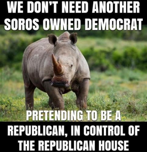 rinos20