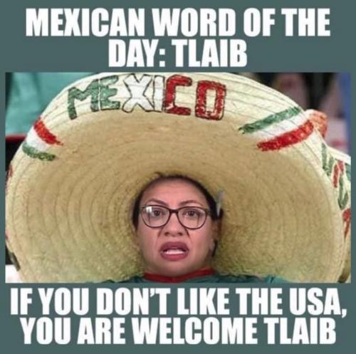 tlaib00