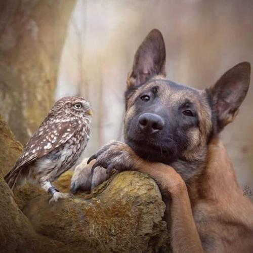 FB_IMG_1696373617376