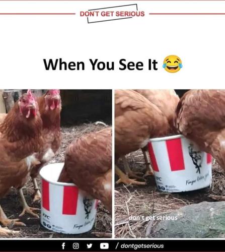 FB_IMG_1696277729973