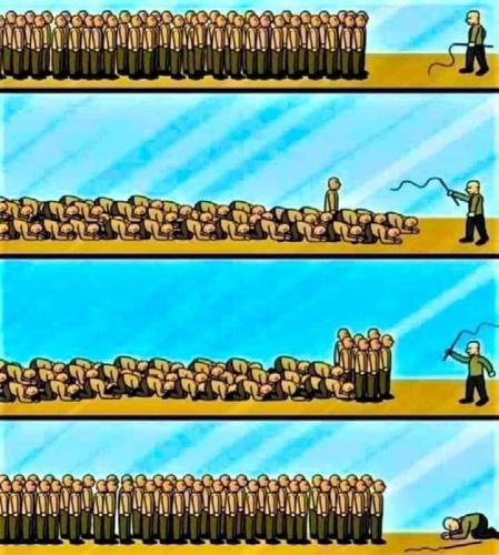 FB_IMG_1698303303916