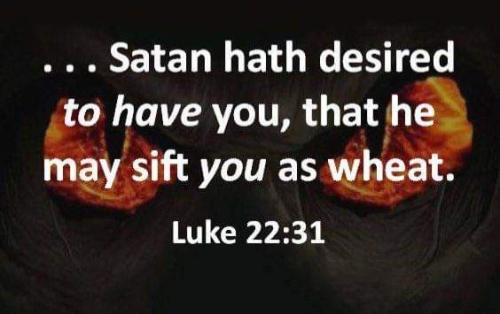 65d7a06a-b2e7-4593-8beb-1c5f9e5c264a