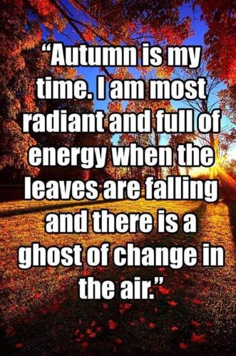 FB_IMG_1696447343345