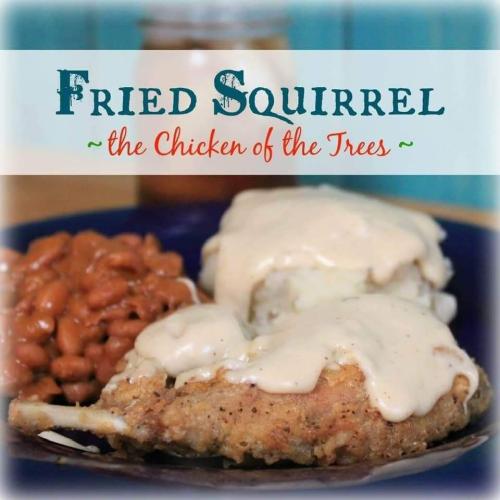 fried squirell