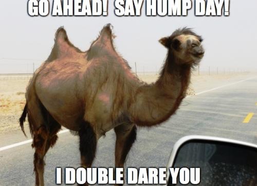 1-Hump Day