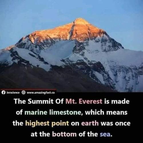 FB_IMG_1698225304959