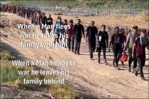 illegal immigration359