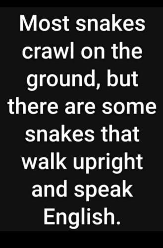 Screenshot_20231005_124216_Wimkin Free Speech Social Media