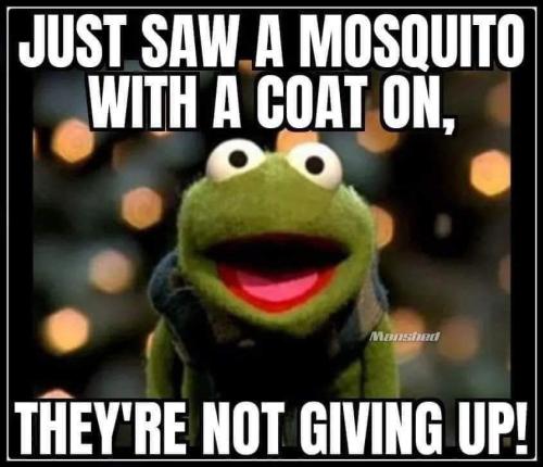 FB_IMG_1697148958144