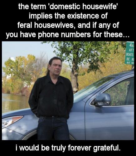 feral housewives01