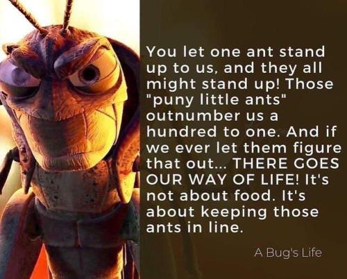 FB_IMG_1697332314851