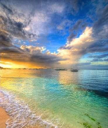 FB_IMG_1696195785915