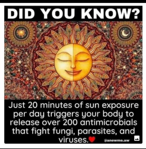 Screenshot_20231019_122726_Photos