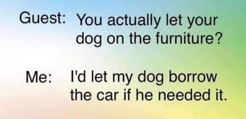 FB_IMG_1696560876932