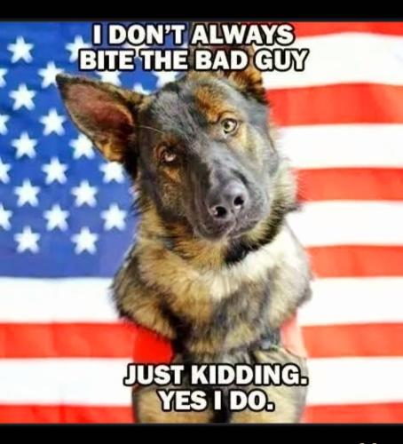 Screenshot_20231022_031109_Gallery