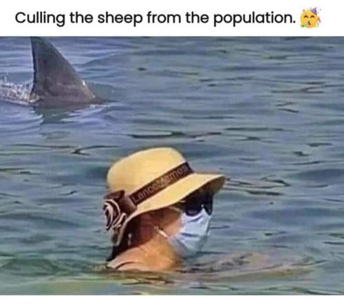 FB_IMG_1697418117443