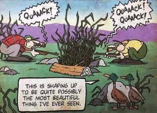 FB_IMG_1697411211867