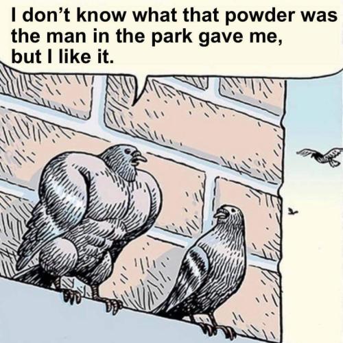 FB_IMG_1697500840536