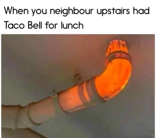 FB_IMG_1698425434067